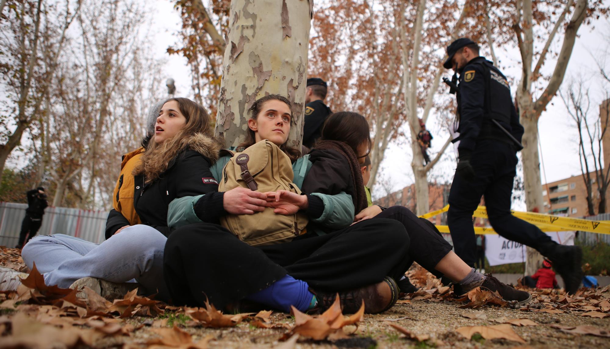 Tala árboles linea 11 Madrid - 1